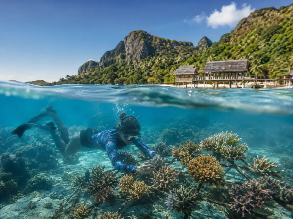 AI-generated fantasy visualization of Coral Restoration Dive, a original fantasy selection